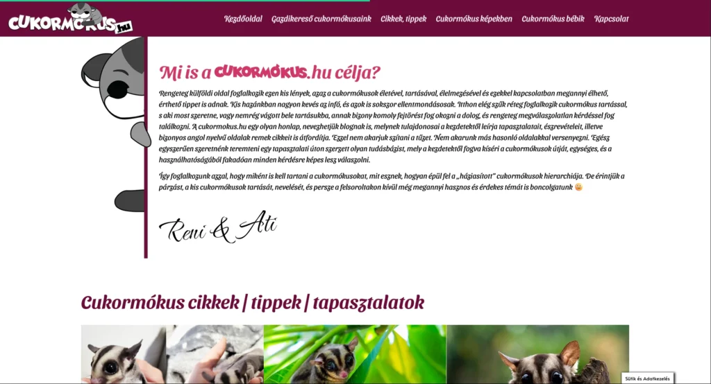 Weboldal készítés az Ön vállalkozásának is. Egyszerűen, stabilan, biztonságosan. Weboldal készítés vagy webshop készítés, akkor PixelBay