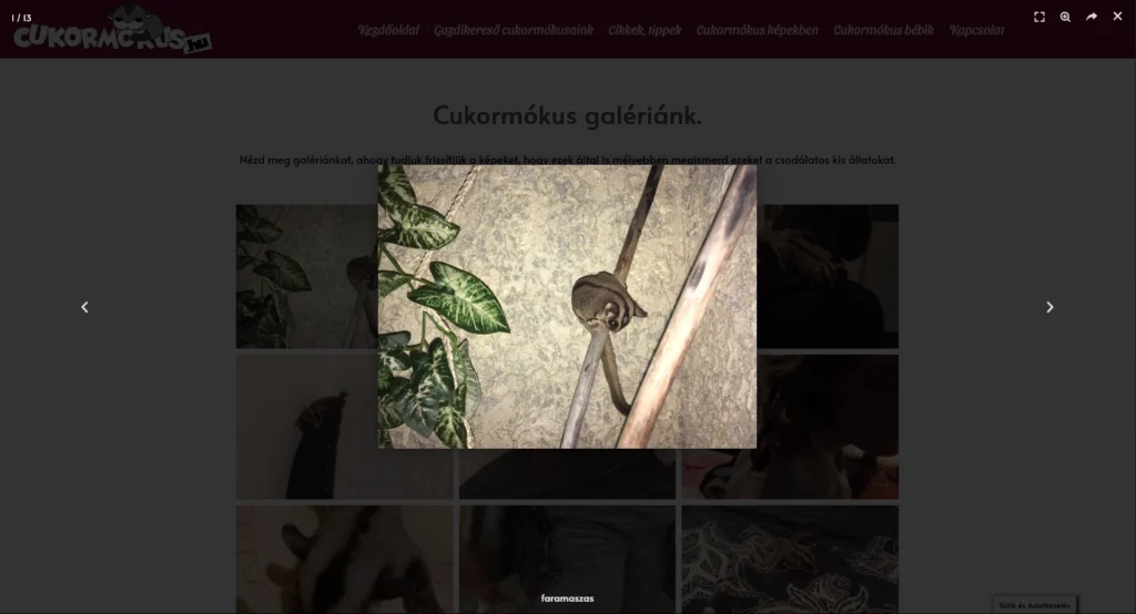 Weboldal készítés az Ön vállalkozásának is. Egyszerűen, stabilan, biztonságosan. Weboldal készítés vagy webshop készítés, akkor PixelBay